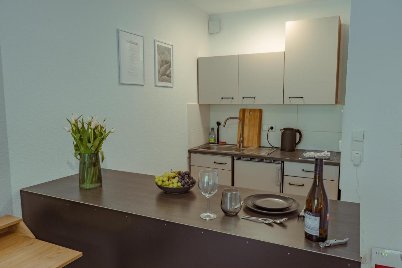 Studio Apartment Mit Parkplatz Oberesslingen Kültér fotó